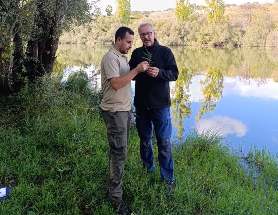 Seguimiento de la biodiversidad en otoño: las alisedas del Tajo muestran signos de recuperación