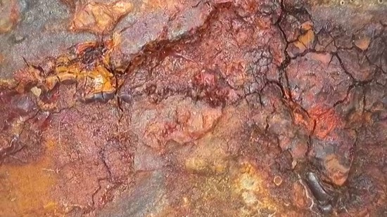 Seguimiento otoñal de los ensayos de endoterapia contra Phytophthora alni