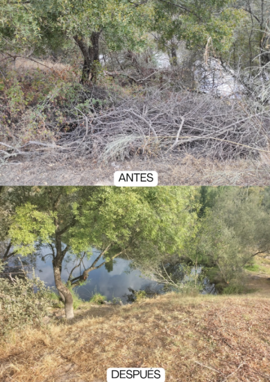 foto3.png