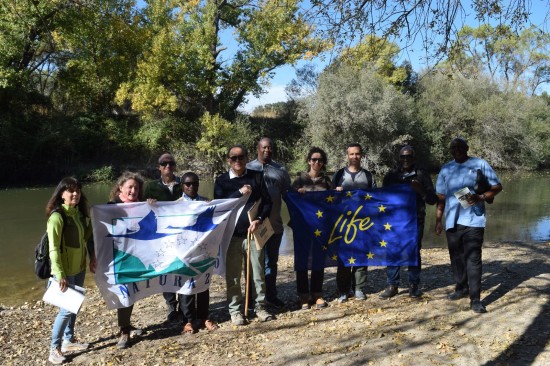 Sinergias entre NbS-4-Climate y LIFE Alnus Taejo en una jornada internacional sobre Soluciones Basadas en la Naturaleza