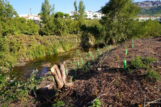 25 11 12 actuacs PT 3 - después