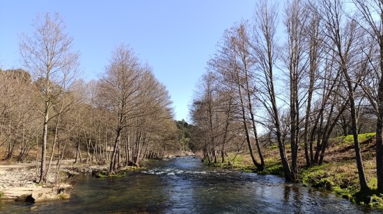 26 02 26 monitoriz CC 3.jpg