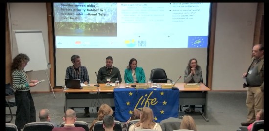 WhatsApp Image 2026-03-24 at 12.28.18.jpeg