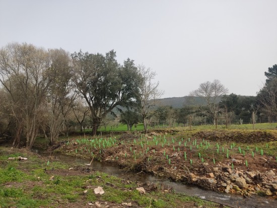 WhatsApp Image 2026-04-08 at 12.03.50.jpeg