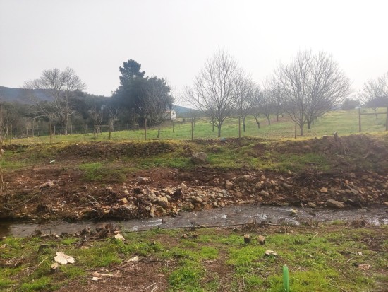 WhatsApp Image 2026-04-08 at 12.04.00.jpeg