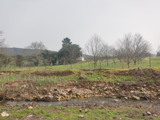 WhatsApp Image 2026-04-08 at 12.04.05.jpeg