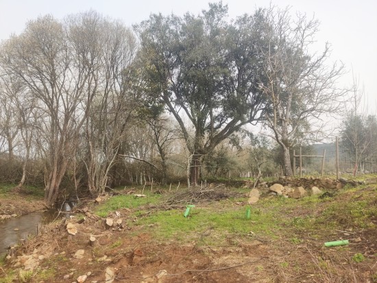 WhatsApp Image 2026-04-08 at 12.04.11.jpeg