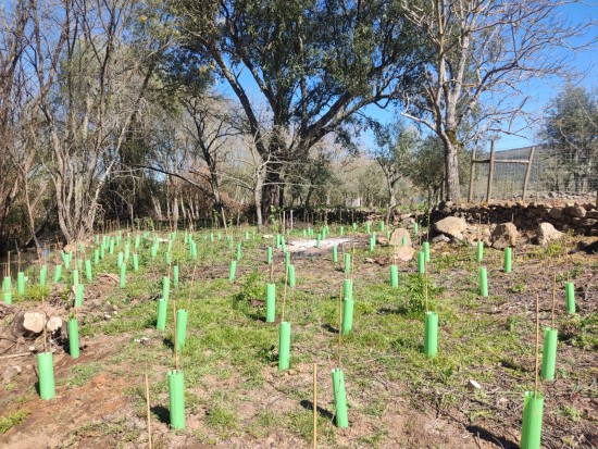 WhatsApp Image 2026-04-08 at 12.04.22.jpeg