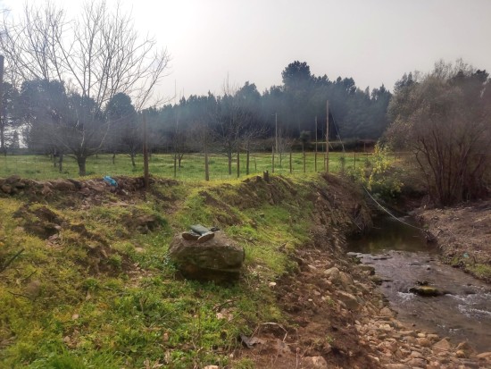 WhatsApp Image 2026-04-08 at 12.04.27.jpeg