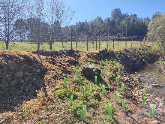 WhatsApp Image 2026-04-08 at 12.04.36.jpeg