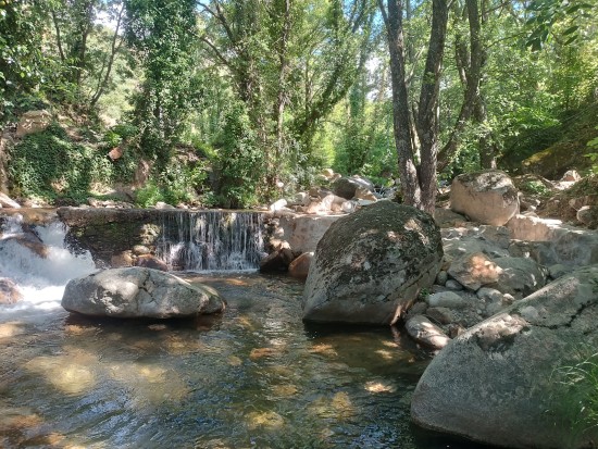 Mejora de la conectividad fluvial en la Garganta de los Papúos