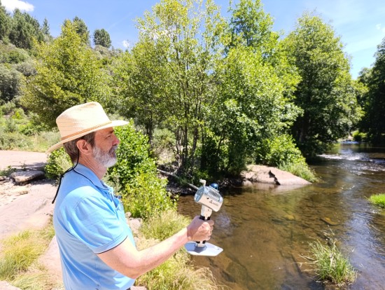 Buscando las claves genéticas de la resistencia del aliso frente a Phytophthora